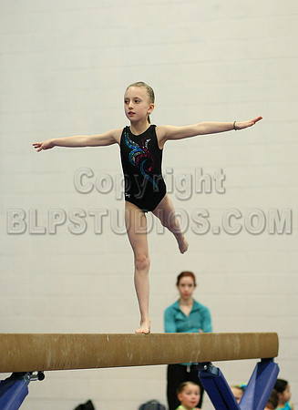 HSM_5367