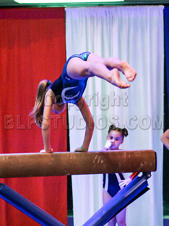 HSM_4423