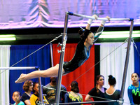 HSM_0104