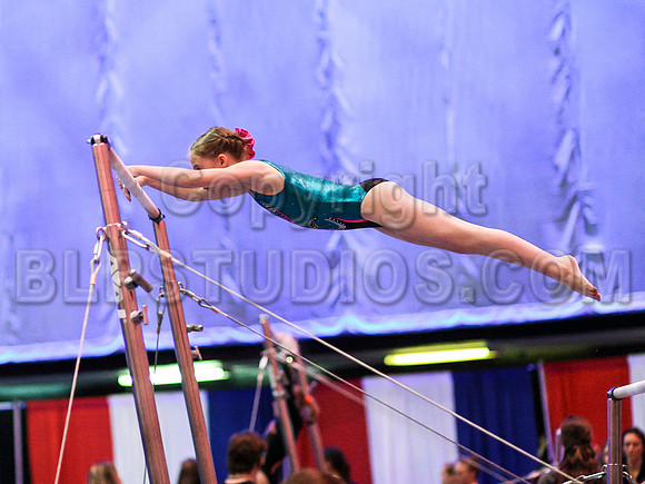 HSM_0393