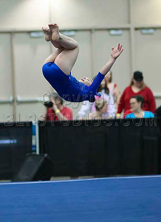 HSM_2519
