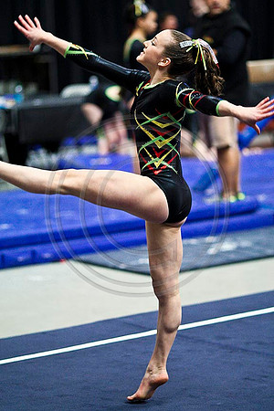 TAZ20118