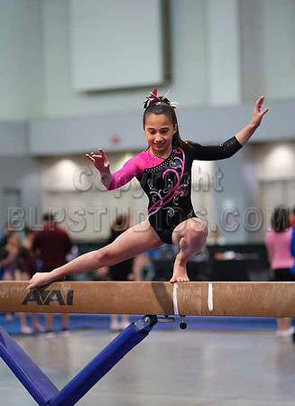 HSM_3557