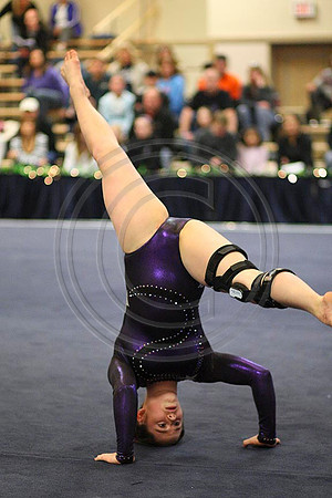 4Z3F3454