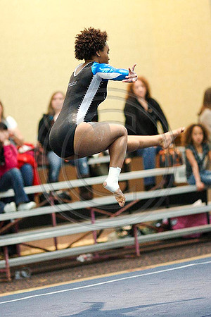 TAZ10608