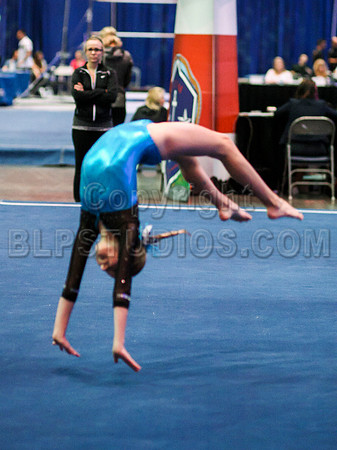 HSM_0631