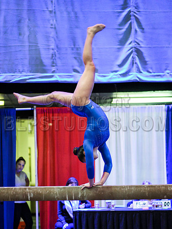 HSM_0557