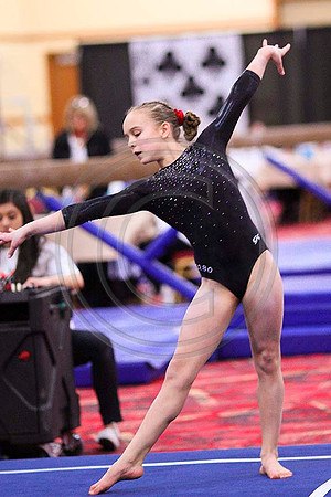 TAZ20116