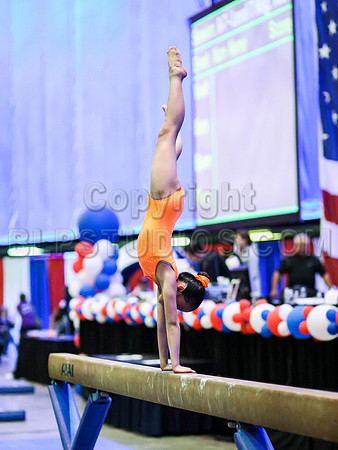 HSM_4261