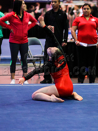 HSM_0288