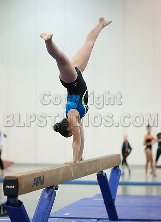 HSM_4725