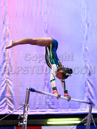 HSM_1699