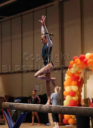 HSM_0390