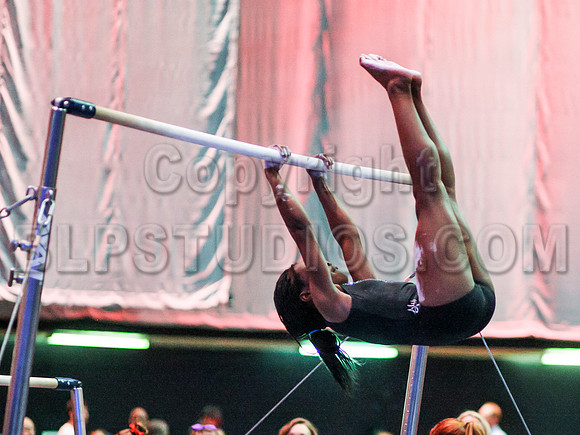 HSM_0706
