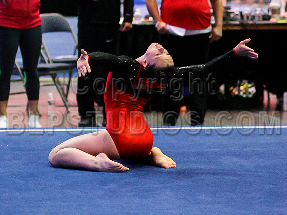 HSM_0291