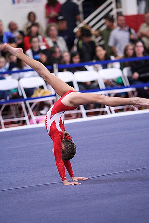 TAZ20076