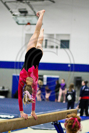 TAZ20080