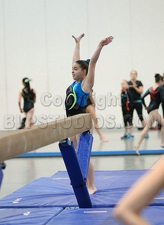 HSM_4734