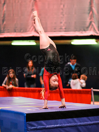 HSM_5851