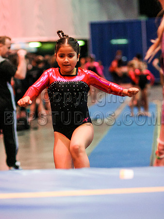 HSM_5571