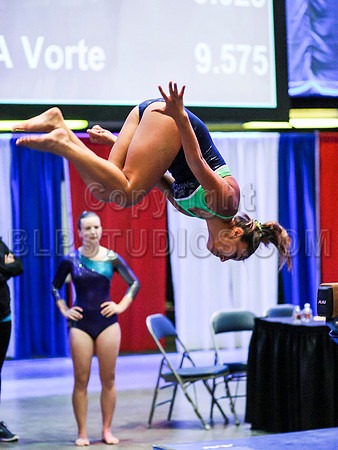 HSM_3357