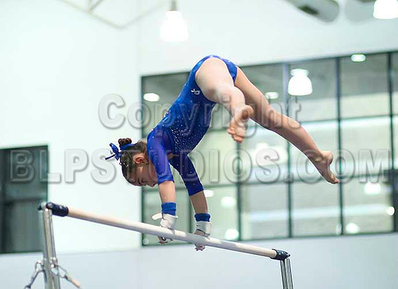 HSM_1395