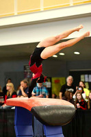 HSM_5646