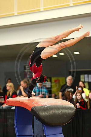 HSM_5646