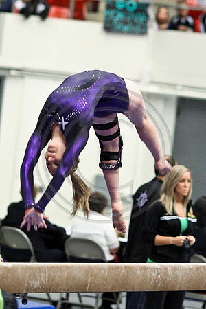 TAZ20079