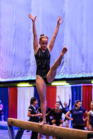 HSM_0491