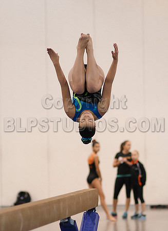 HSM_4730