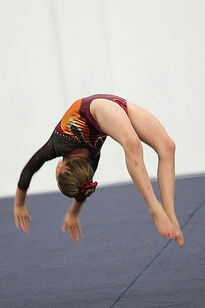 TAZ25560