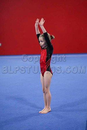 HSM_6305