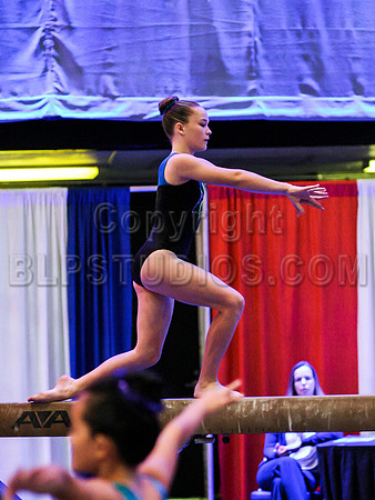 HSM_0534