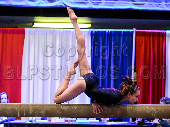 HSM_0871