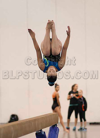 HSM_4730