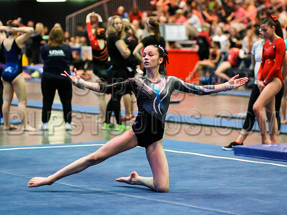 HSM_1487