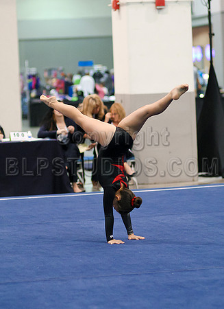 HSM_1387