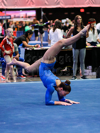 HSM_0929