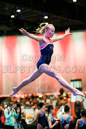 HSM_1161