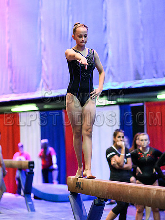 HSM_0482