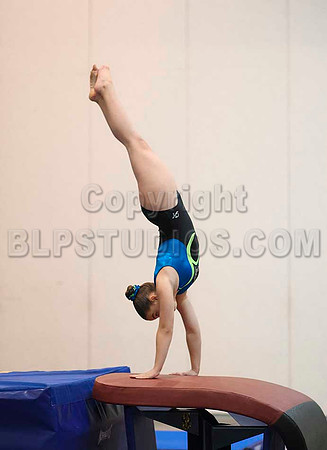 HSM_5312