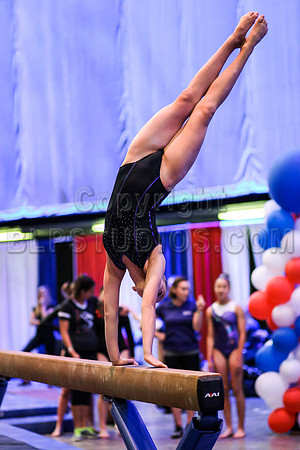 HSM_0494