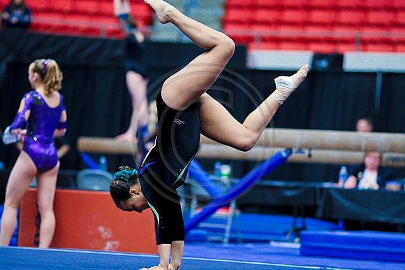 TAZ20783