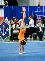 HSM_3538