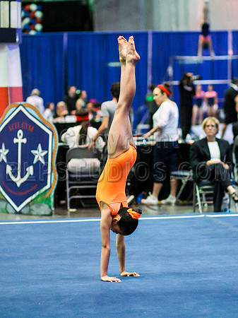 HSM_3538