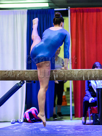 HSM_0481