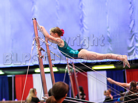 HSM_0387