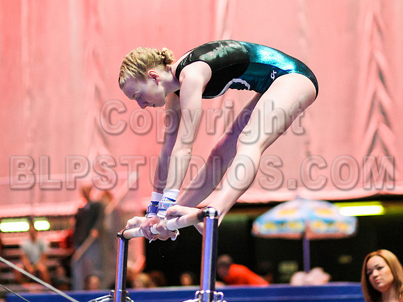 HSM_0439
