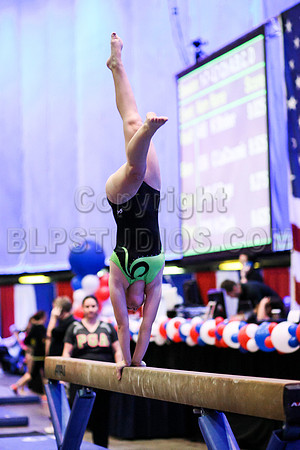 HSM_8276